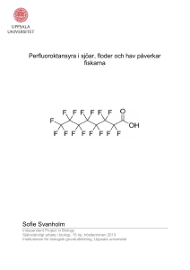 Perfluoroktansyra i sjöar, floder och hav påverkar fiskarna Sofie