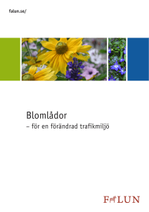 Blomlådor - Falu kommun
