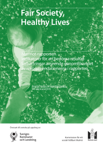Fair Society, Healthy Lives, översatt bilaga