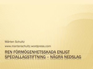 Ren förmögenhetsskada enligt speciallagstiftning