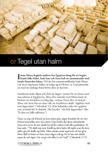 Tegel utan halm