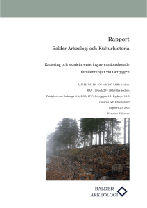 Rapport skadeinventering fornlämningar