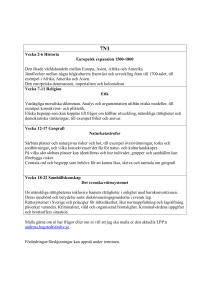 planering 7N1 vt 13