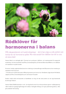 Rödklöver får hormonerna i balans