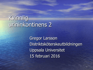 Miktionslistor och inkontinenstester