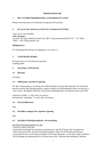 Ibmune lyophilisate for suspension SmPC