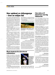 Stor epidemi av chikungunya – över en miljon fall