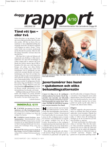 Doggy-Rapport nr 4-10.qxd
