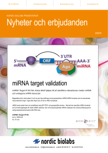 Nyheter och erbjudanden