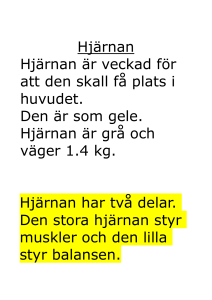Hjärnan Hjärnan är veckad för att den skall få plats i huvudet. Den är