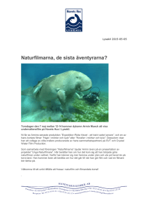 PDF-dokument