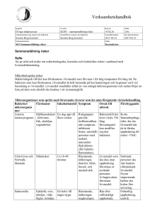 Verksamhetshandboken