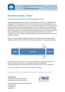 Executive Coaching – Chefer
