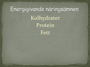 År 8 Energi givande näringsämnen