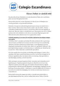 Elever i behov av särskilt stöd