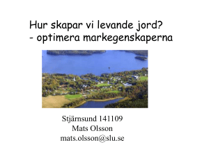 Mats Olsson