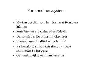 3. stress affektreglering