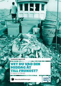 vet du vad din middag åt