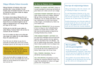 Släpp tillbaka fisken levande