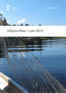 Nätprovfiske i Lyen 2015