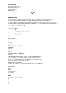 Exempel CV