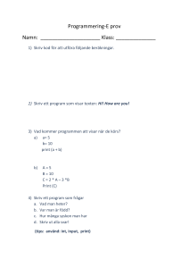 Programmering E prov