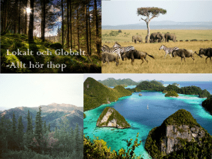 2 lokalt och globalt