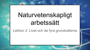 kemi och biologi arbetssätt (2)